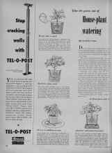 Better Homes & Gardens November 1951 Magazine Article: Take the guess out of House-plant watering