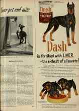 Better Homes & Gardens November 1951 Magazine Article: Your pet and mine