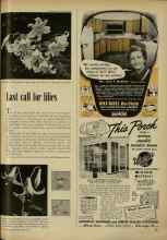Better Homes & Gardens November 1951 Magazine Article: Last call for lilies