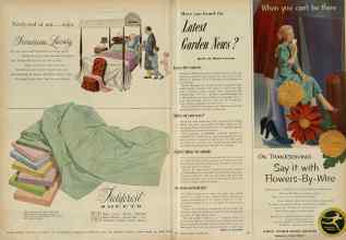 Better Homes & Gardens November 1951 Magazine Article: Page 38