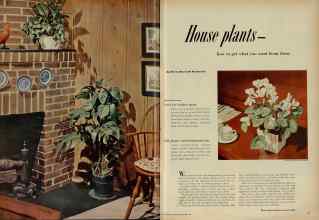 Better Homes & Gardens November 1951 Magazine Article: House plants