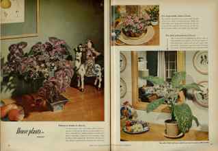Better Homes & Gardens November 1951 Magazine Article: Page 66
