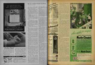 Better Homes & Gardens November 1951 Magazine Article: Page 250