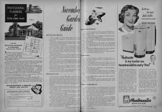 Better Homes & Gardens November 1951 Magazine Article: November Garden Guide
