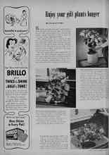Better Homes & Gardens December 1951 Magazine Article: Enjoy your gift plants longer