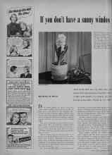 Better Homes & Gardens December 1951 Magazine Article: If you don't have a sunny window