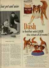 Better Homes & Gardens December 1951 Magazine Article: Your pet and mine