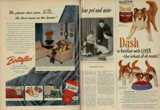 Better Homes & Gardens December 1951 Magazine Article: Page 174