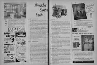 Better Homes & Gardens December 1951 Magazine Article: December Garden Guide