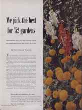 Better Homes & Gardens January 1952 Magazine Article: We pick the best for '52 gardens