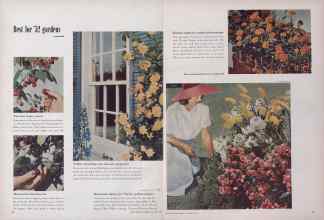 Better Homes & Gardens January 1952 Magazine Article: Page 44