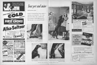Better Homes & Gardens January 1952 Magazine Article: Your pet and mine
