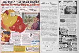 Better Homes & Gardens January 1952 Magazine Article: Page 100