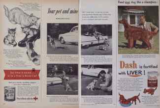Better Homes & Gardens February 1952 Magazine Article: Your pet and mine