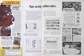 Better Homes & Gardens February 1952 Magazine Article: Plants can help problem windows