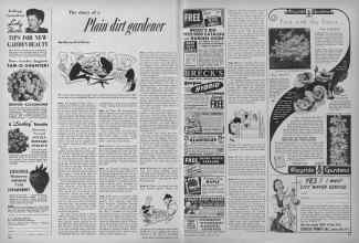 Better Homes & Gardens February 1952 Magazine Article: The diary of a Plain dirt gardener