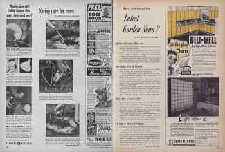 Better Homes & Gardens February 1952 Magazine Article: Page 196