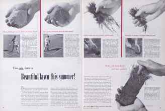 Better Homes & Gardens March 1952 Magazine Article: You can have a Beautiful lawn this summer!