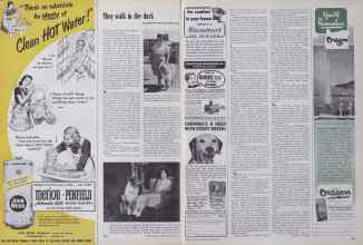 Better Homes & Gardens March 1952 Magazine Article: Page 240
