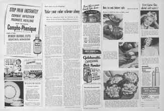 Better Homes & Gardens March 1952 Magazine Article: Page 244