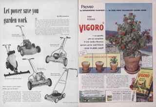 Better Homes & Gardens March 1952 Magazine Article: Page 264