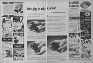 Better Homes & Gardens March 1952 Magazine Article: Know when to make a garden?