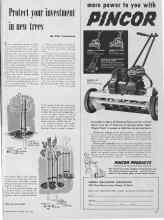 Better Homes & Gardens April 1952 Magazine Article: Protect your investment in new trees