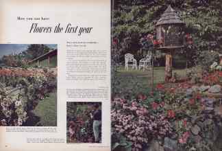 Better Homes & Gardens April 1952 Magazine Article: Flowers the first year