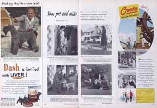Better Homes & Gardens April 1952 Magazine Article: Your pet and mine