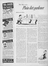 Better Homes & Gardens May 1952 Magazine Article: The diary of a Plain dirt gardener