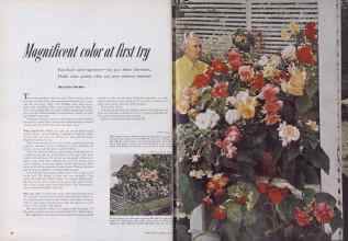 Better Homes & Gardens May 1952 Magazine Article: Magnificent color at first try