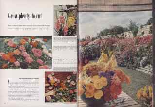 Better Homes & Gardens May 1952 Magazine Article: Grow plenty to cut