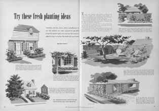 Better Homes & Gardens May 1952 Magazine Article: Try these fresh planting ideas