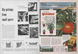 Better Homes & Gardens May 1952 Magazine Article: Page 288