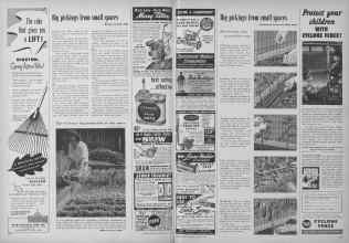 Better Homes & Gardens May 1952 Magazine Article: Page 310