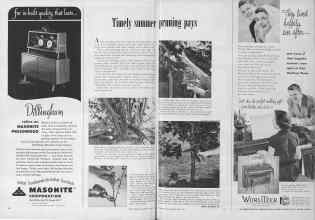 Better Homes & Gardens June 1952 Magazine Article: Timely summer pruning pays