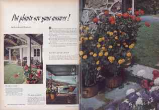 Better Homes & Gardens June 1952 Magazine Article: Pot plants are your answer!