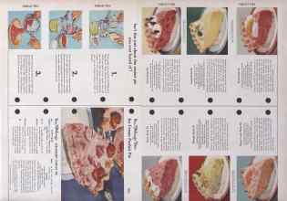 Better Homes & Gardens June 1952 Magazine Article: Page 92