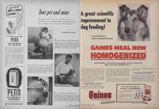 Better Homes & Gardens June 1952 Magazine Article: Page 196