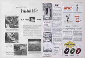 Better Homes & Gardens June 1952 Magazine Article: Page 216