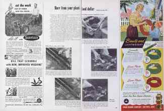 Better Homes & Gardens June 1952 Magazine Article: Page 218