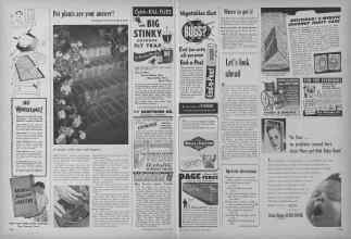 Better Homes & Gardens June 1952 Magazine Article: Page 234