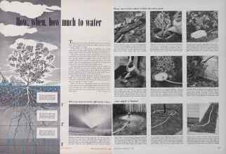 Better Homes & Gardens July 1952 Magazine Article: How, when, how much to water