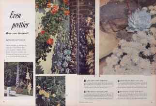 Better Homes & Gardens July 1952 Magazine Article: Even prettier than you dreamed!