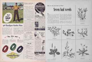 Better Homes & Gardens July 1952 Magazine Article: Page 118