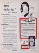 Better Homes & Gardens August 1952 Magazine Article: Have you heard the Latest Garden News?