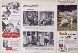 Better Homes & Gardens August 1952 Magazine Article: Page 118