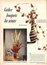 Better Homes & Gardens September 1952 Magazine Article: Gather bouquets for winter