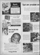 Better Homes & Gardens September 1952 Magazine Article: Start new geraniums now