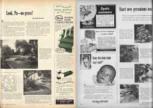Better Homes & Gardens September 1952 Magazine Article: Page 251